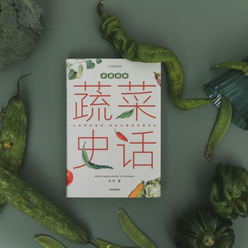 醉染图书中国食物 蔬菜史话9787521739015高清大图