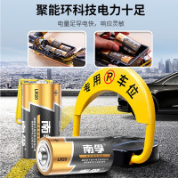 南孚LR20 1号电池