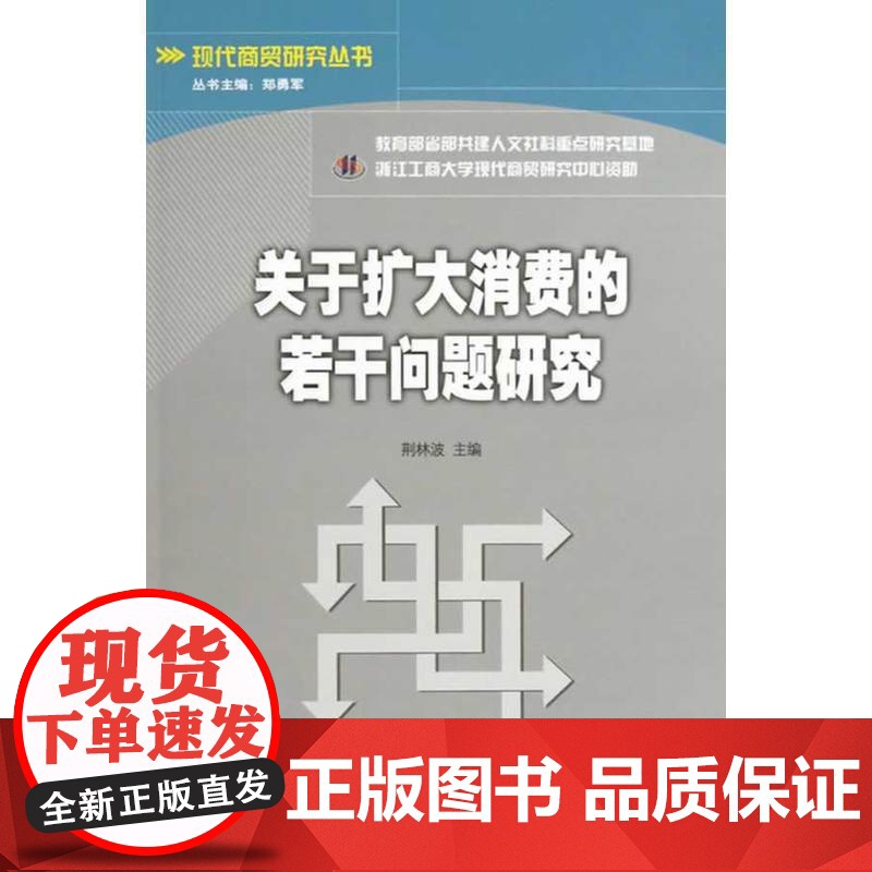 关于扩大消费的若干问题研究高清大图