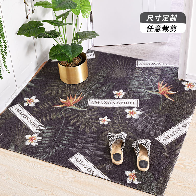 北欧入户口地垫丝圈垫塑料厅进蹭土客厅家用PVC免洗地毯高清大图