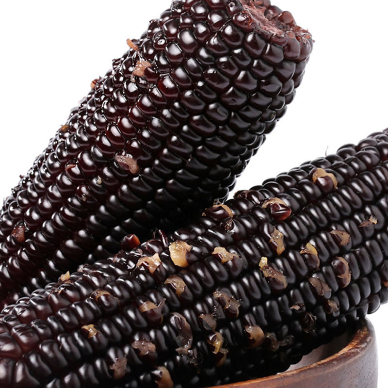 东北黑糯玉米260g*8根 非转基因鲜食粘糯黑玉米棒 新鲜蔬菜