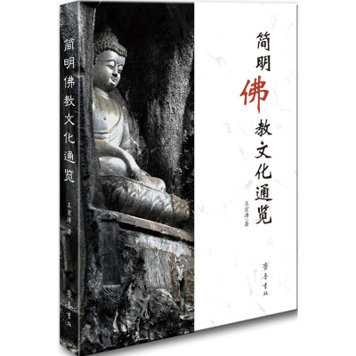 醉染图书简明文化通览9787533335786