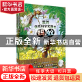 我的自然科学实践书（全4册）