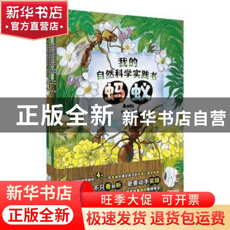 正版 我的自然科学实践书(全4册) 郭翔著 海豚出版社 978751105图片
