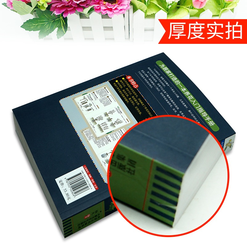 [醉染正版]全3册 图解养花常识一本通+阳台种菜+四季养花 以图解方法掌握家庭养花百科 手绘高清晰图片解决养花难题养花宝