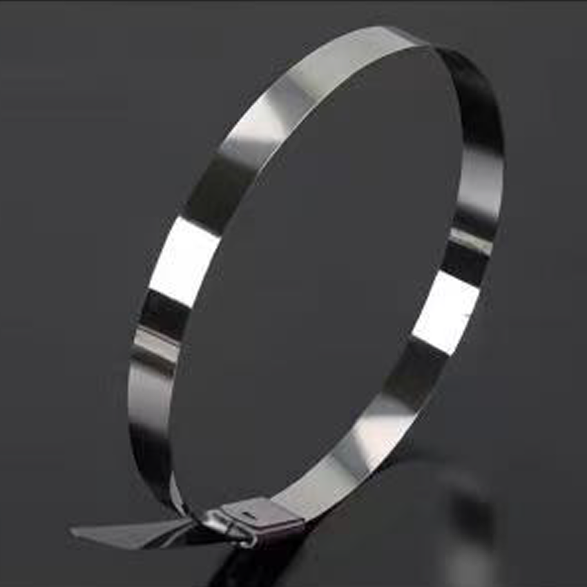 长铁304不锈钢扎带4.6*450mm(50条)高清大图