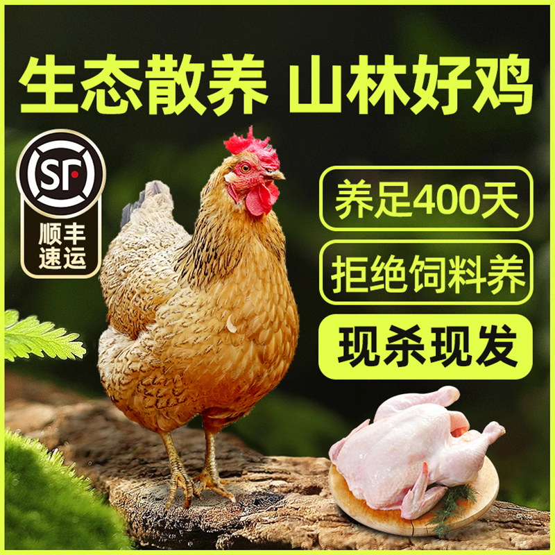 [苏鲜生推荐]雀淘 皖南金凤黄油老母鸡2.3-2.6斤/只 2只装 新鲜现杀冷冻净膛农家竹林慢养走地鸡高清大图