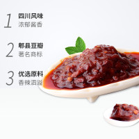丹丹 酱料 红油郫县豆瓣酱500g 辣椒酱炒菜 川菜调料调味品 四川特产