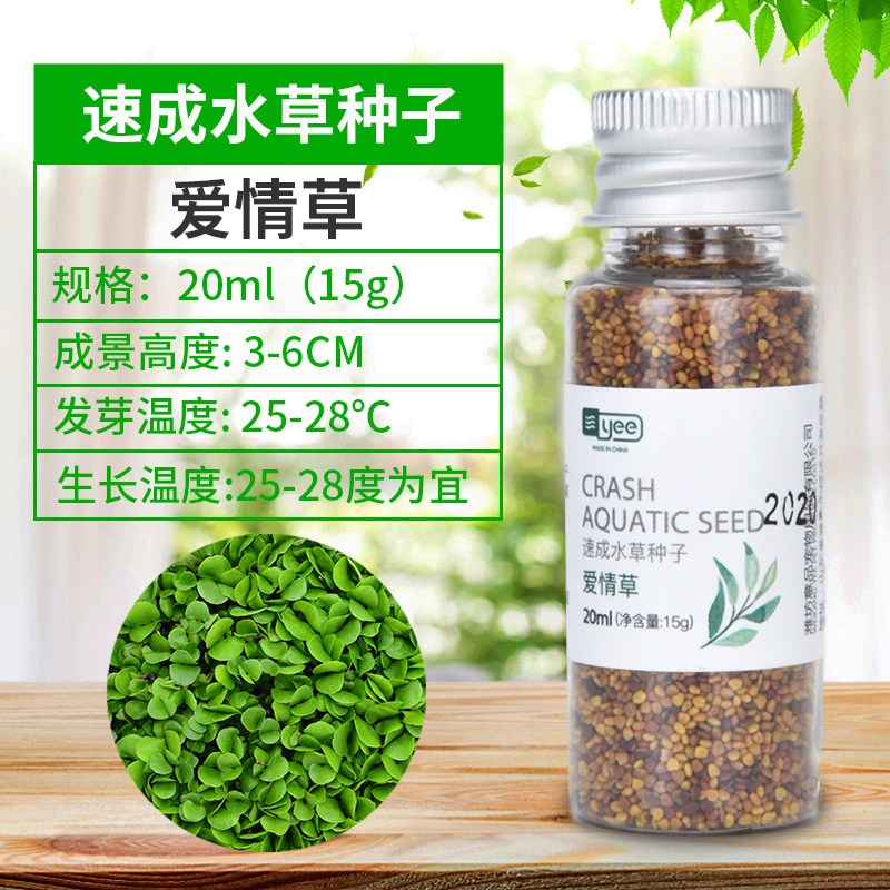 水草籽鱼缸种子牛毛对叶真水草种籽草坪草籽造景植物底砂套餐