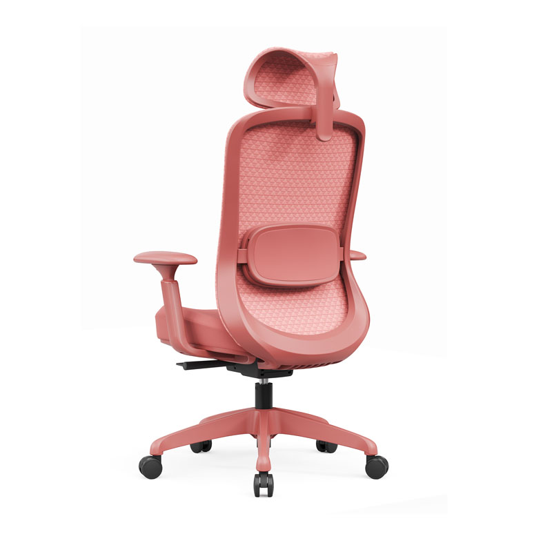 德诚和(DCH)时尚高颜值办公椅人体工学椅电脑椅高清大图