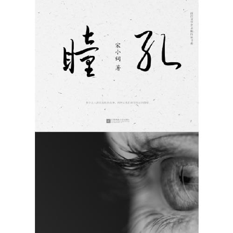 正版新书]南昌市文学艺术院作家书系:瞳孔塑封宋小词9787539995