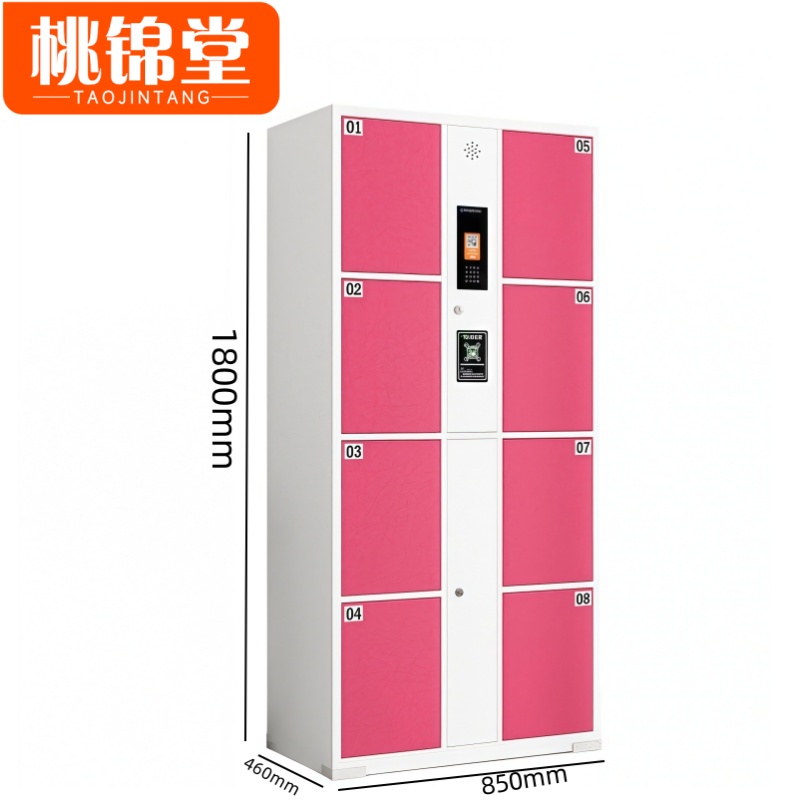 桃锦堂存包柜 储物柜8门台