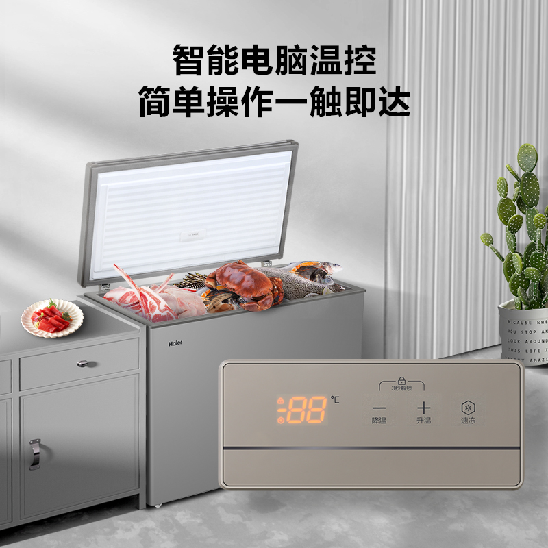 海尔(Haier) 卧式冷柜 306升容量 直冷定频 一级能效 电子控温 家用 卧式冷柜 BC/BD-306HED高清大图