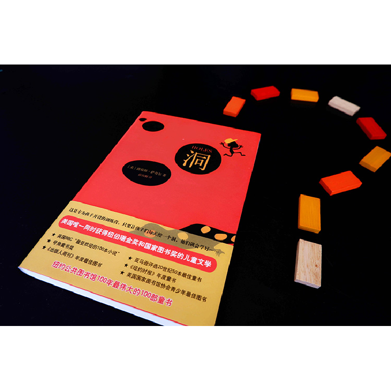 正版新书]洞(美)路易斯·萨奇尔9787544271585高清大图