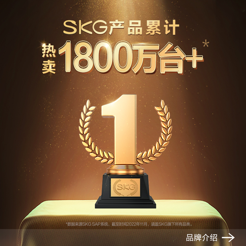 SKG腰靠按摩仪 T5