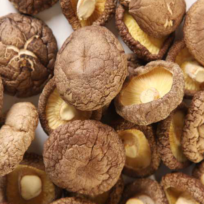 兵团缘东北香菇250g高清大图