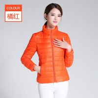 北极绒轻薄保暖羽绒服女短款立领时尚韩版修身2019冬大码女装外套羽绒外衣aL50W