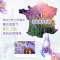 洁宜佳 果蔬净400ml*2瓶+百洁宝*2盒 奶瓶果蔬清洗剂双效洁净柠檬酸去油餐具污渍清洁剂锅底黑垢