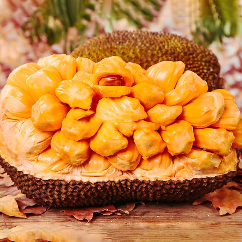 [西沛生鲜]越南红肉菠萝蜜 新鲜水果 香甜可口 1个 净重16-18斤装 西沛水果