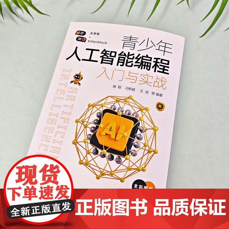青少年人工智能编程入门与实战 人工智能入门 Kittenblock在线人工智能项目 未来板与人工智能 离线型人工智能 中高清大图