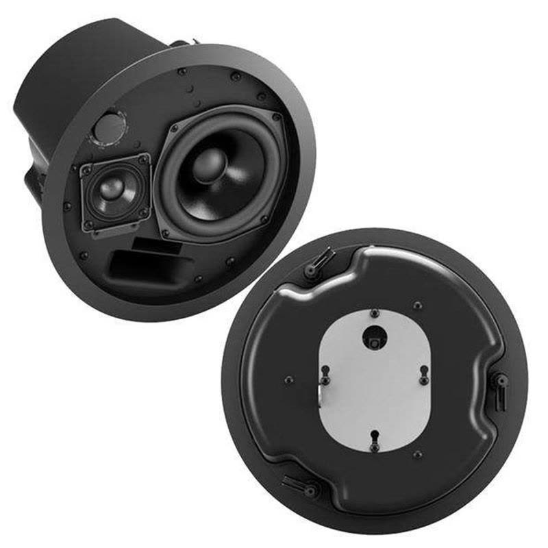 超格安価格 直哉 BOSE Free Space DS100F スピーカー - serieleamos.com