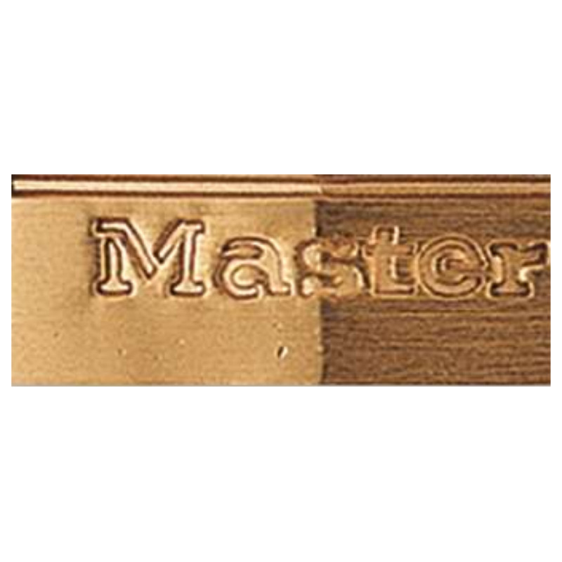 玛斯特锁 MASTER LOCK 130MCNDLJ 5mm锁钩，51mm锁钩净高，4弹子30mm铜挂锁