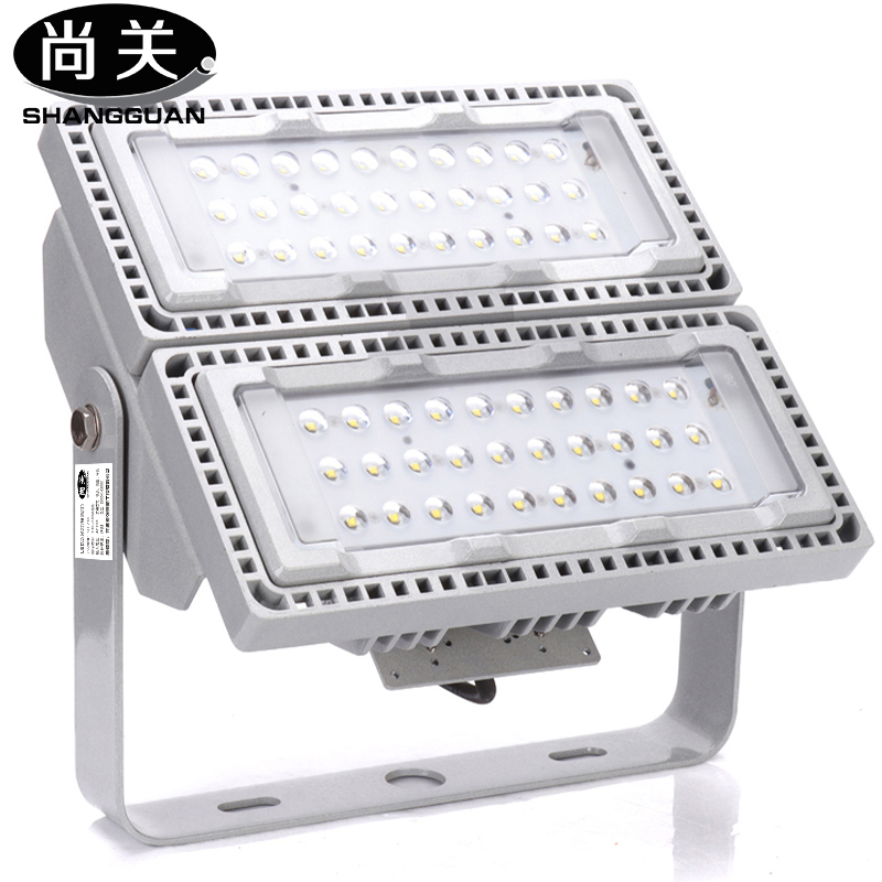 尚关(SHANGGUAN)( 投光灯)SQ-Z18 AC220V LED 100W泛光灯