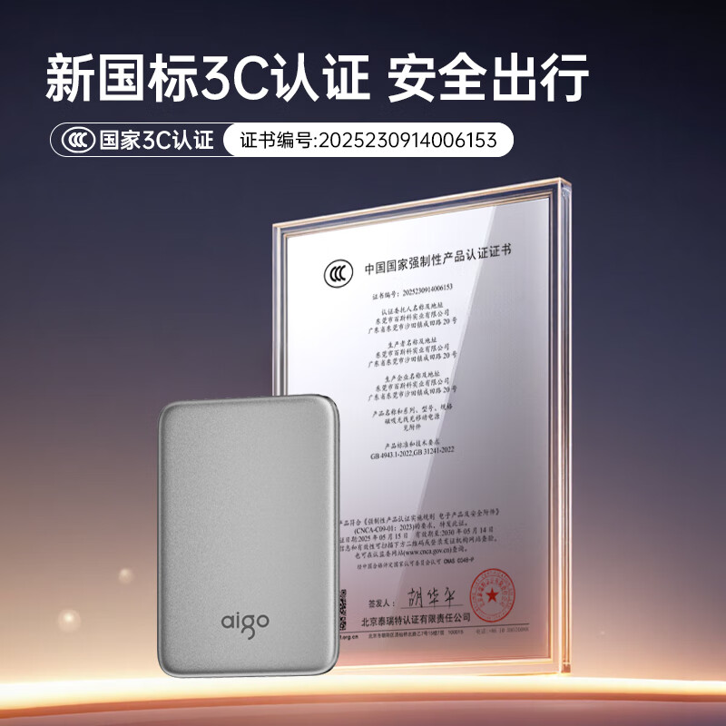 爱国者(AIGO) 10000毫安移动电源 WS-T193P 银色 (个)