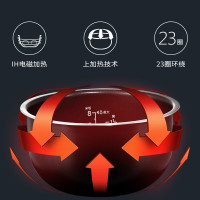 大宇(DAEWOO)电饭煲电饭锅 4L 家用IH电磁加圆灶精铁内胆FB01白色