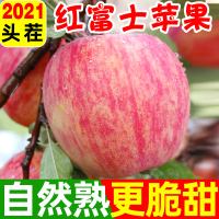 [靓果汇]2021新果山西红富士苹果5斤装带箱 单果约70-75mm 脆甜多汁 坏果包赔