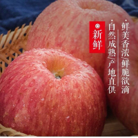【渭圆盛】2019新果 陕西白水新鲜脆甜早熟红富士5斤 果径70-80mm