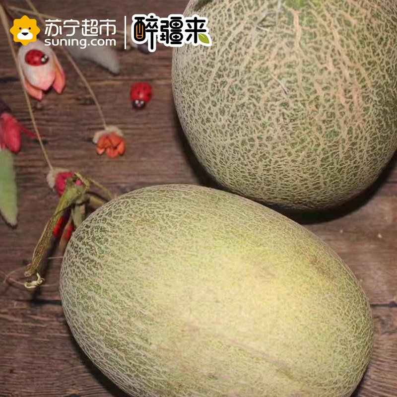 [苏宁生鲜]新疆吐鲁番哈密瓜西州蜜25号 新鲜品质水果 2.5KG以上 2个 礼盒装