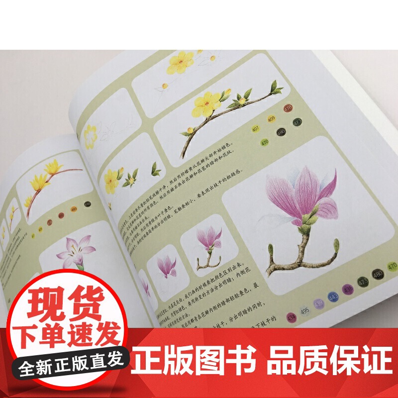 小清新彩铅手绘基础1000例 赵莹 化学工业出版社 正版书籍高清大图