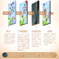 派斯无盐软水机 家用别墅全屋中央净化阻垢器SSP-100