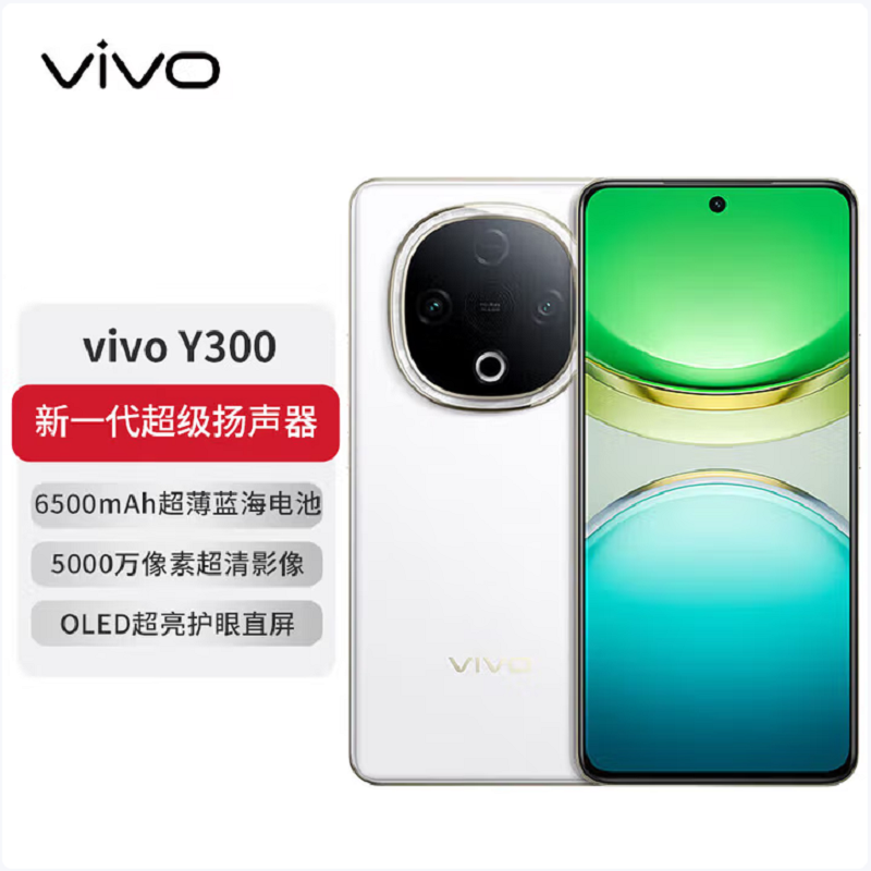 vivo Y300 瑞雪白 12GB+256GB 天玑6300 5G芯 6500mAh电池 44W充电 5000万高清影像 5G 手机高清大图