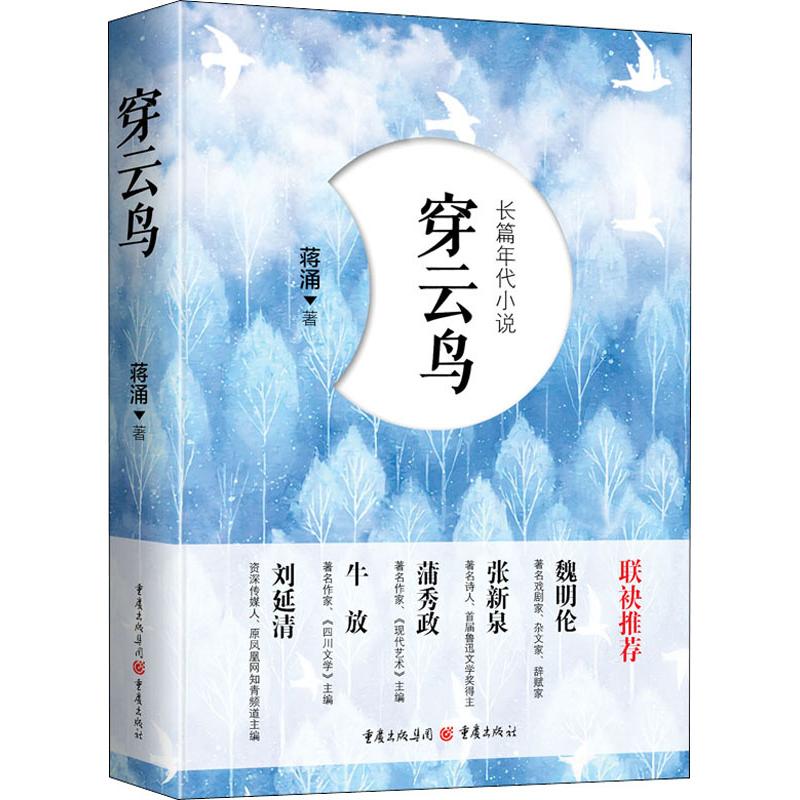 穿云鸟:长篇知青小说高清大图