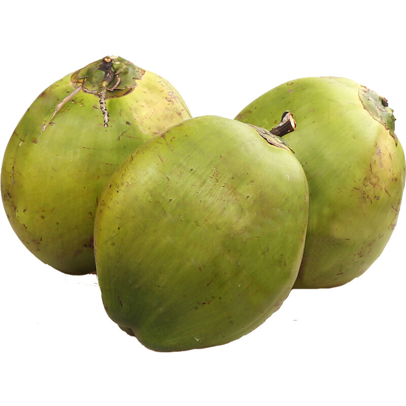 xj青椰子海南新鲜椰子带皮大椰青嫩h南可开发票10个装