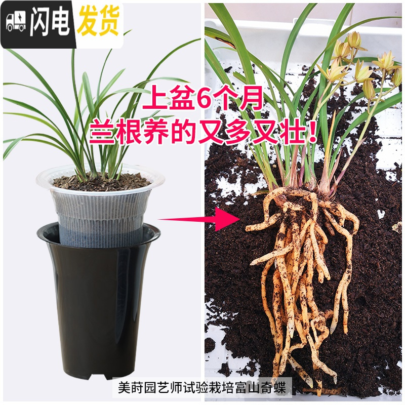 三维工匠美莳控根兰花盆塑料双层加厚透明透气超越紫砂兰专用花盆沥水罩 内径15cm咖色+托盘 中等花盆容器
