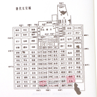 [正版]长安客 北溟鱼 大唐版人类群星闪耀时 李白杜甫王维白居易元稹柳宗元刘禹锡李商隐诗国闪耀的群星 长安城里忧伤的年