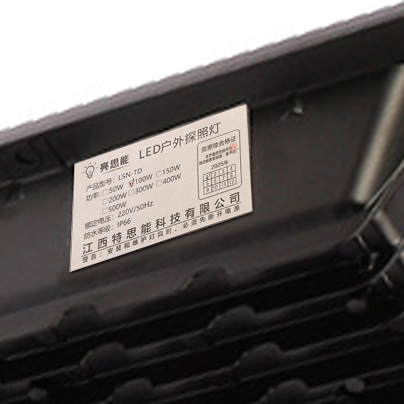 亮思能 LED投光灯 泛光灯 LSN-TD 100W 个高清大图