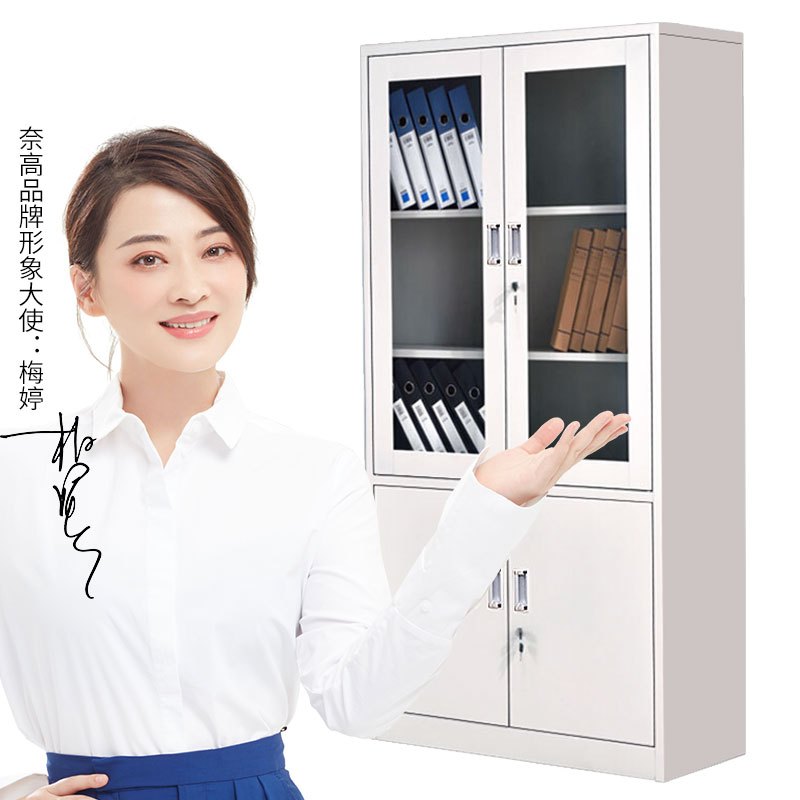 文件柜办公柜钢制铁皮柜资料柜档案柜储物柜大器械文件柜