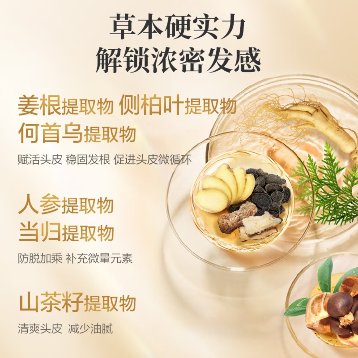 阿道夫姜护理专研洗发水(防脱固发)300ml高清大图