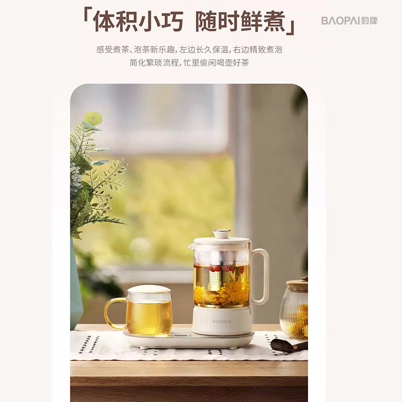 豹牌BP-9825 多功能煮茶壶高清大图