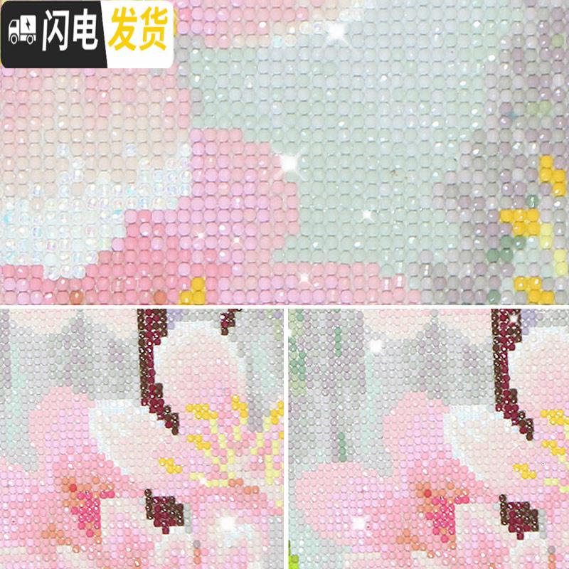 三维工匠2019年新款钻石画满钻带框客厅砖石点半钻十字绣家用小件 满钻兰花[40*65厘米][钻量多加30工具包2套]高清大图