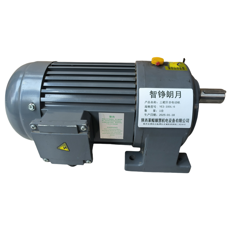 智铮朗月 三相异步电动机 YE3-100L-6 台高清大图