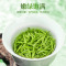 茶马世家春色满园信阳毛尖礼盒装200g