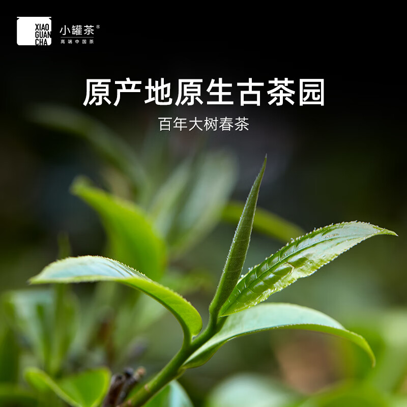 小罐茶 金罐系列黑茶普洱熟茶 40g(4g*10) (单位:盒)高清大图