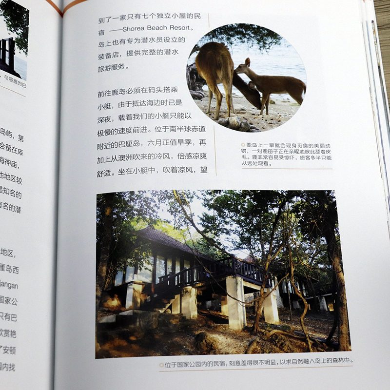 [正版]恋上民宿:恋上旅途中的家 国内自驾游自助自由旅游攻略书籍民宿之旅经验集成旅馆介绍蹒跚在民宿路上书籍高清大图