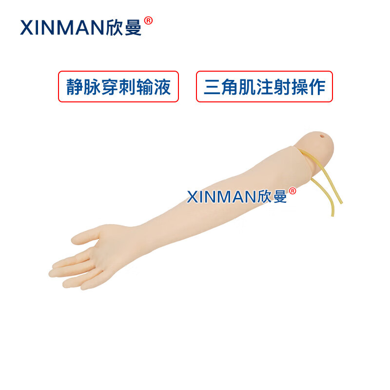 欣曼科教 静脉输液模拟训练模块 静脉穿刺输液手臂及肌肉注射模型XM-S1010高清大图