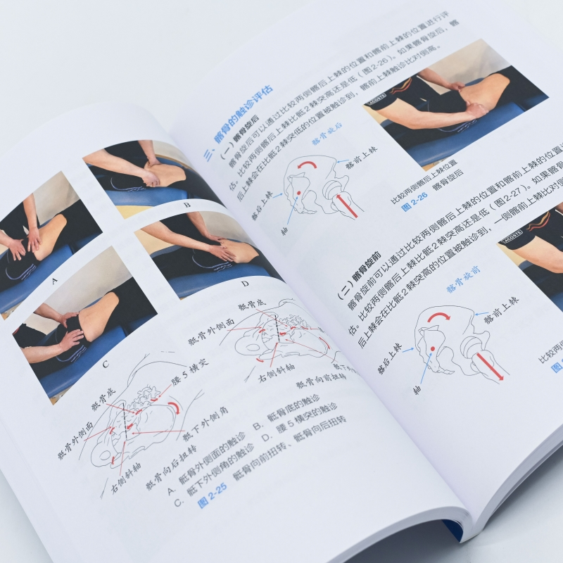 [正版]骨盆功能修复全书 骨盆功能解剖运动学评估与治疗技术 物理治疗师体态矫正运动康复书籍
